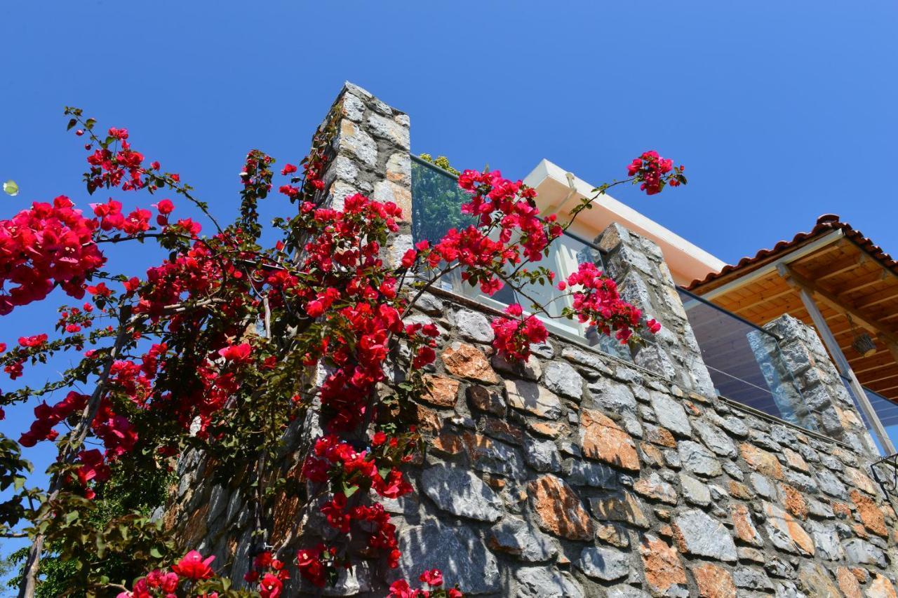 Melina Skiathos Kolios Dış mekan fotoğraf
